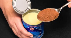 SOMENTE leite condensado e cacau! Deliciosa sobremesa sem gelatina e leve ao forno em 5 minutos