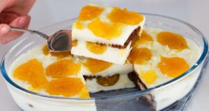 Sobremesa incrivelmente cremosa em 5 minutos, sem forno, sem leite evaporado, sem gelatina! simples