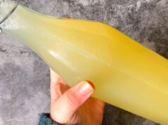 Bebida Probiótica Caseira: Intestino Saudável! Bebida de Limão – Remédio Natural