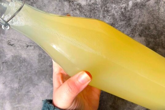 Bebida Probiótica Caseira: Intestino Saudável! Bebida de Limão – Remédio Natural